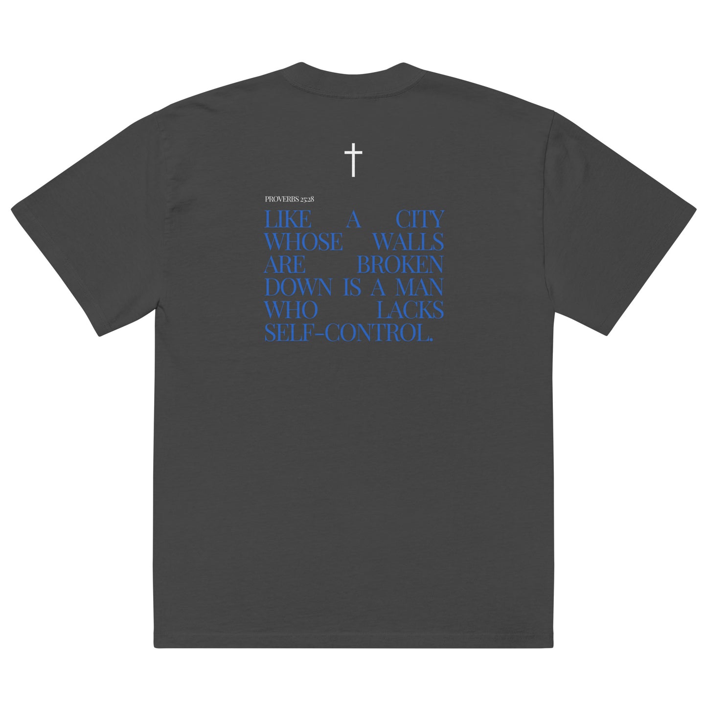 Proverbs 25:28 Oversized Scripture Tee